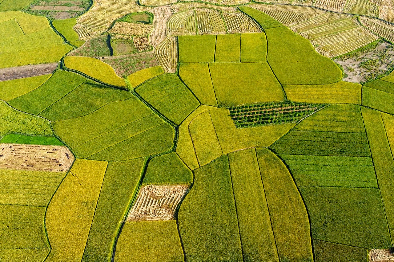 Gaji Tentara Ketahanan Pangan: Tugas, Tunjangan, dan Prospeknya di 2025